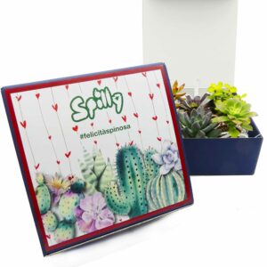 spilly cactus gift box I love cactus