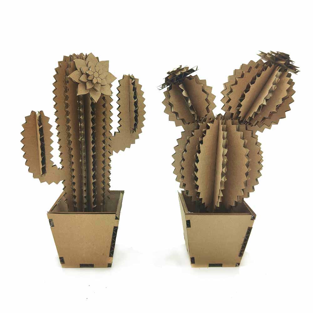 cactus cartone design