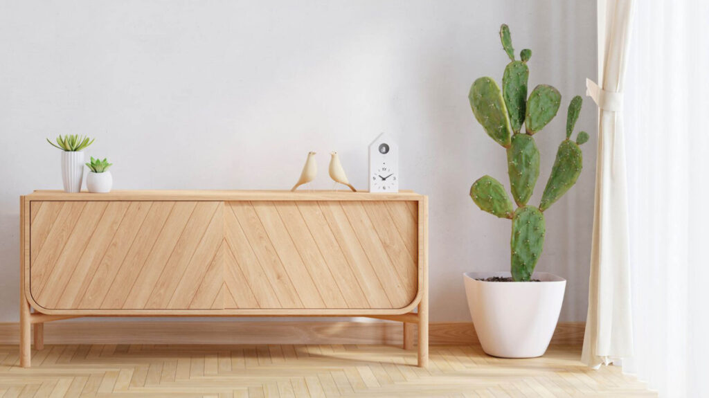 Mix Di 3 Cactus - Piante Grasse Vive In Vaso 5,5 Cm, Per Interni Casa O Ufficio, Facili Da Curare