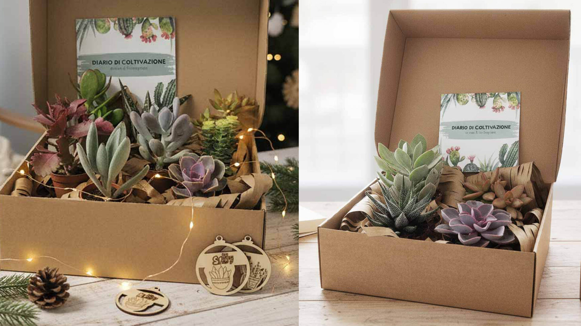 Decorazione pianta grassa in ceramica - Cactus – Best Pet&House